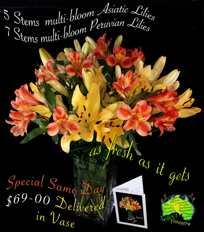 Asiatic & Peruvian Lilies