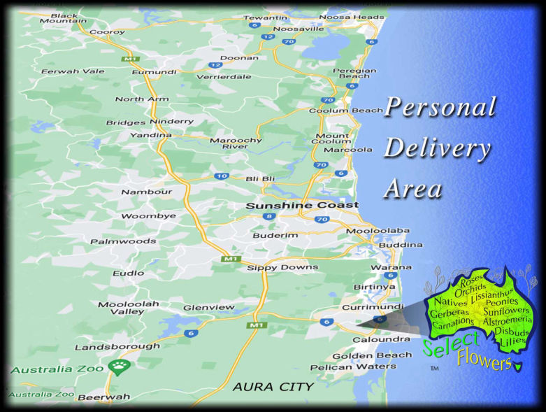 DELIVERY AREA