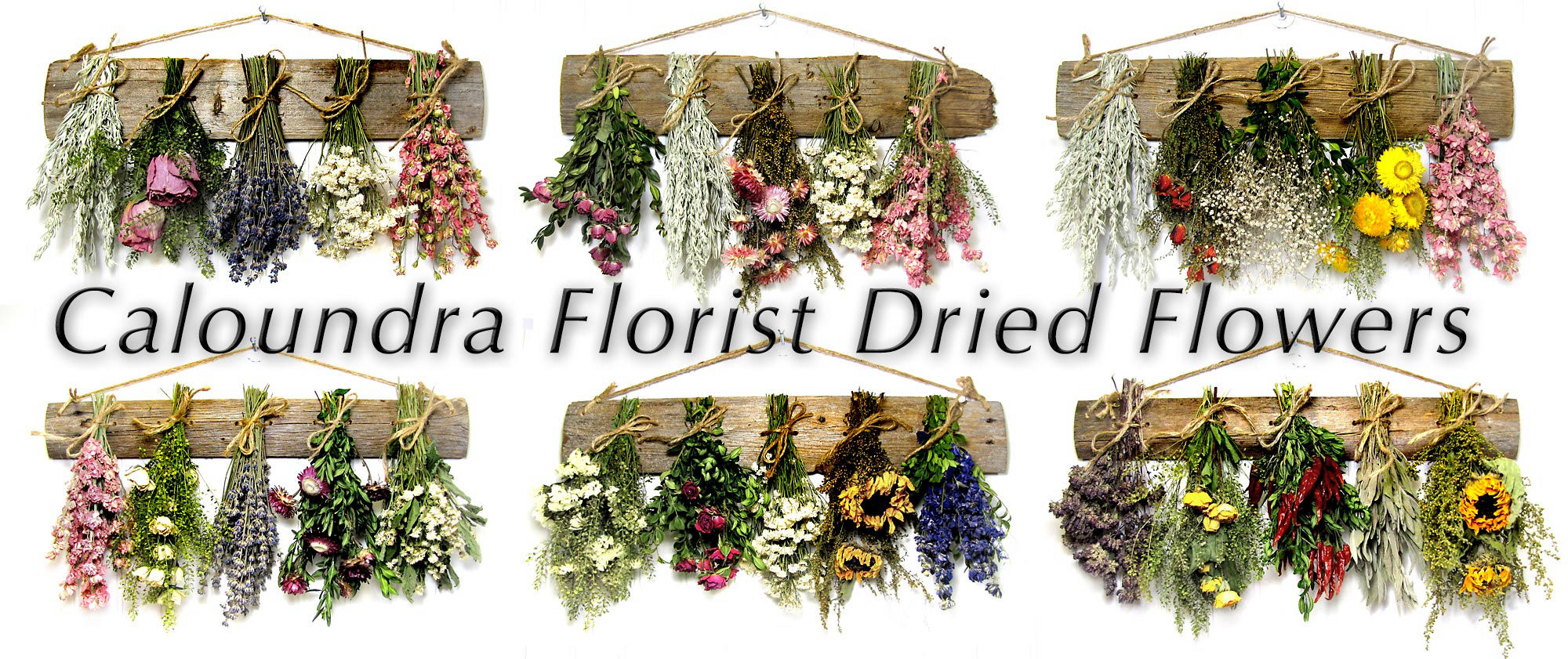 CALOUNDRA FLORIST DRIED FLOWERS