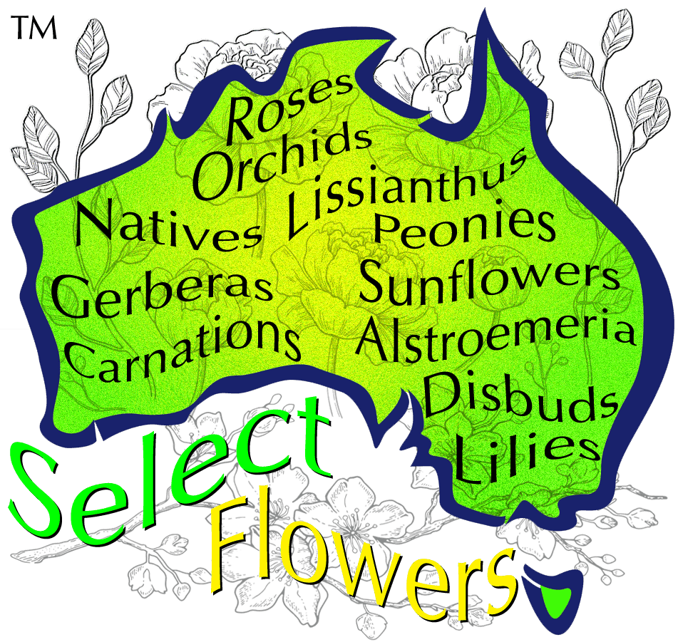 SELECT FLOWERS